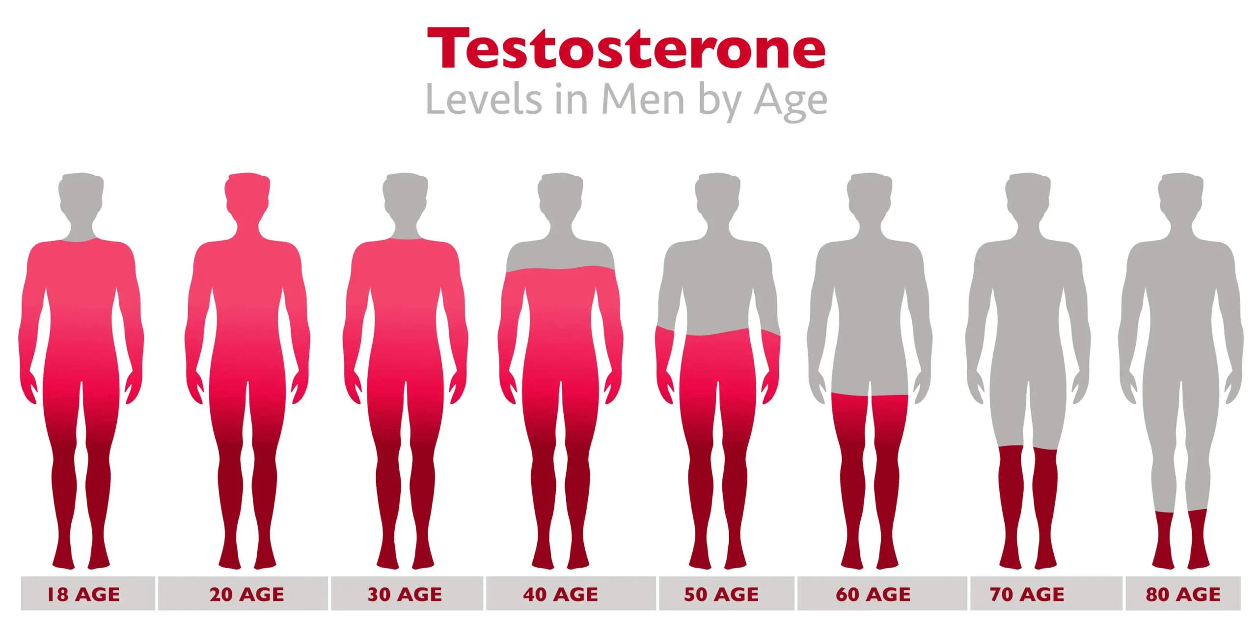 Male Testosterone Levels Infographic
